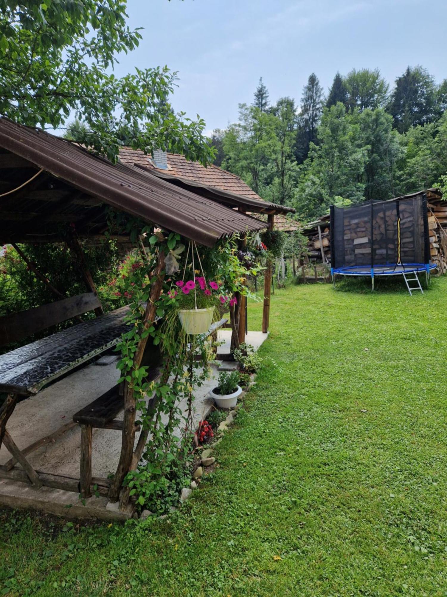 Pensjonat У Дядька Pilipets Zewnętrze zdjęcie